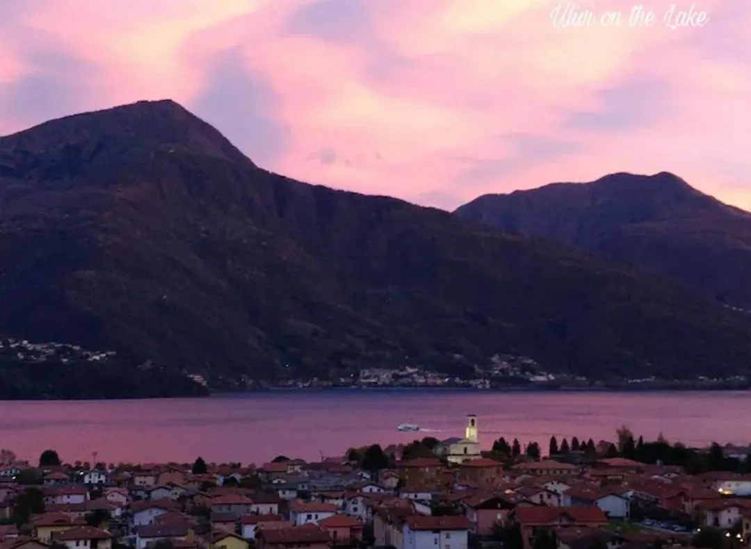 Apartment Ulivi On The Lake Dongo