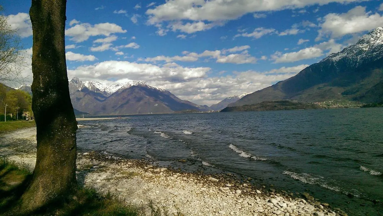 Daire Ulivi On The Lake Dongo