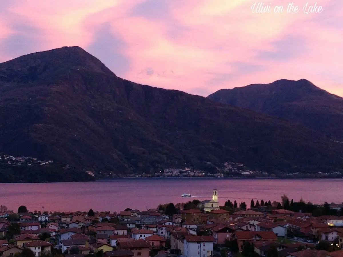 Ulivi On The Lake Dongo 0*,  Italië
