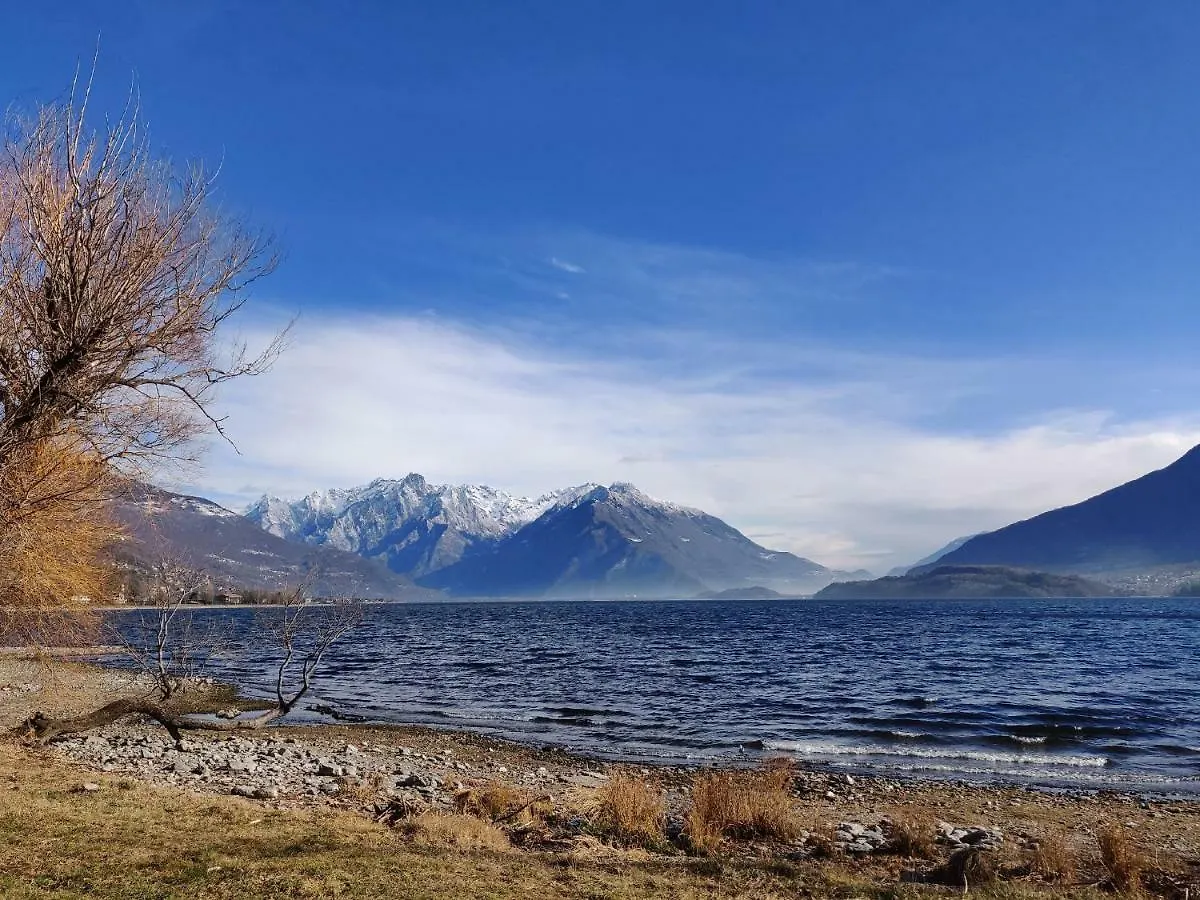 Ulivi On The Lake Dongo